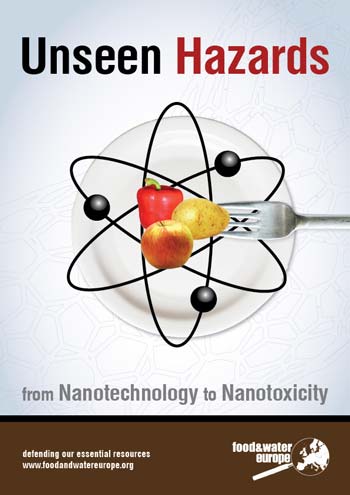 nanotechnology  hazards